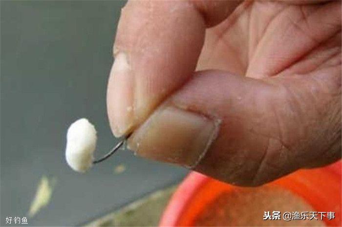 快鱼直播官网㊙️-🈷️极速鲫鱼直播平台官网