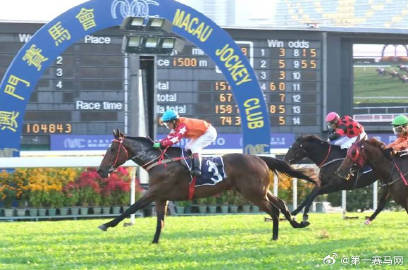 2023今晚澳门开特马,揭秘幸运之夜的前奏与期待✅✅✅ 2023今晚澳门开特马,揭秘幸运之夜的前奏与期待✅✅✅