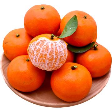 橘子官网,连接甜蜜与科技的奇妙之旅 🍊✅✅✅it橘子官网 橘子官网,连接甜蜜与科技的奇妙之旅 🍊✅✅✅it橘子官网